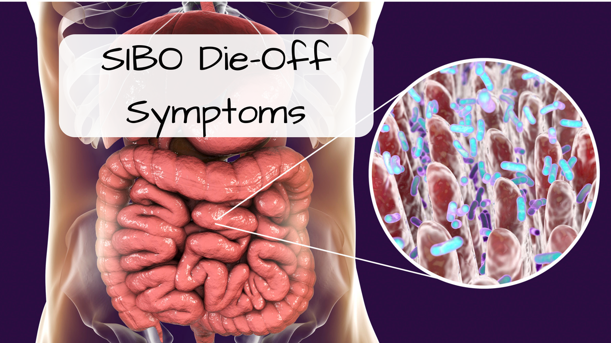 SIBO Die-Off Symptoms